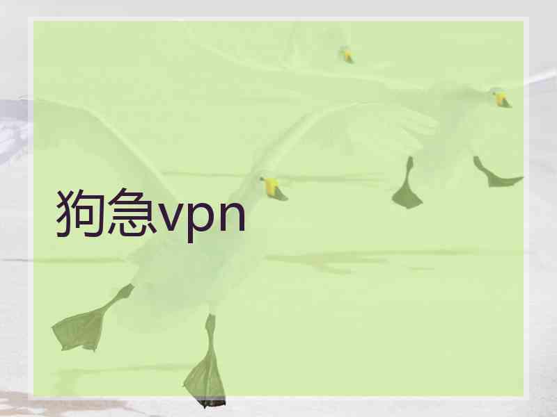 狗急vpn