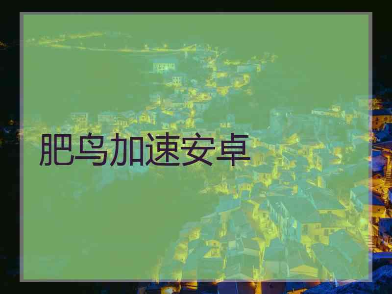 肥鸟加速安卓