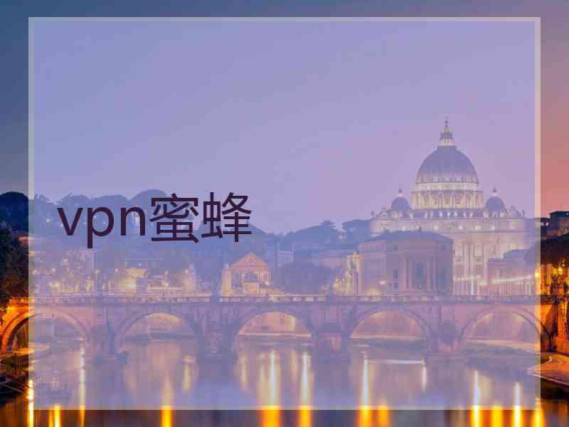 vpn蜜蜂