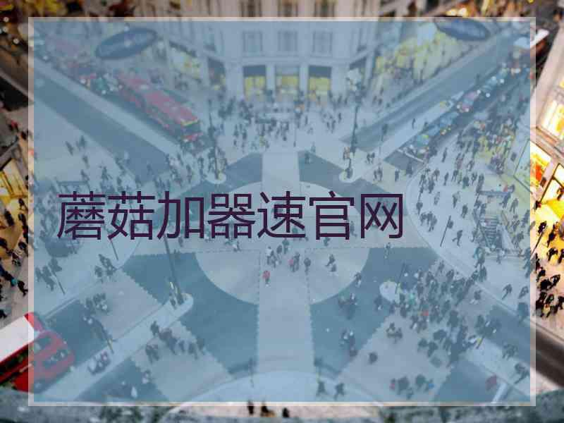 蘑菇加器速官网