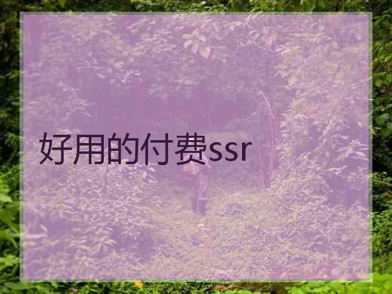 好用的付费ssr