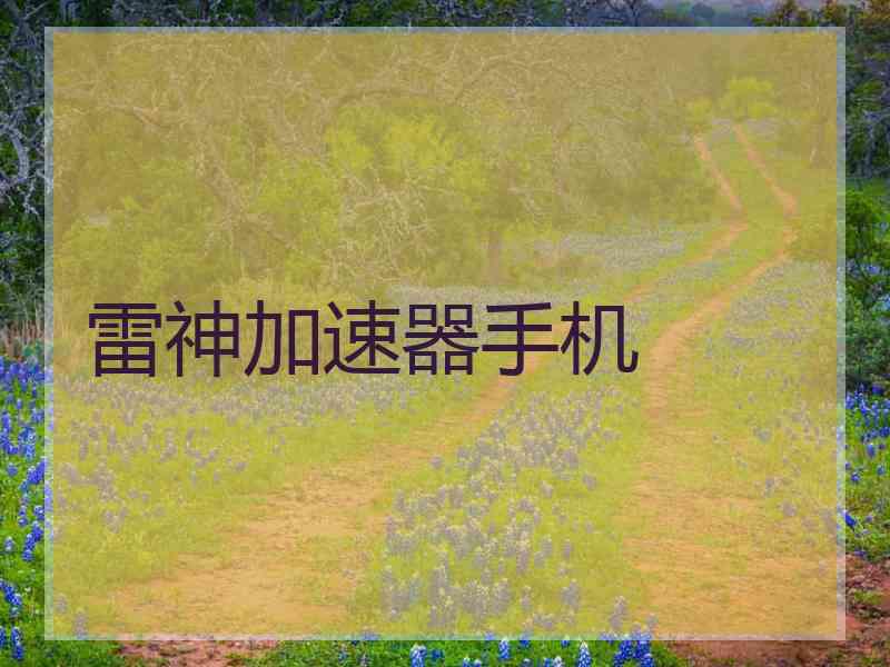 雷神加速器手机