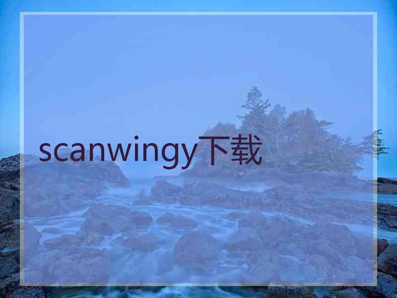 scanwingy下载