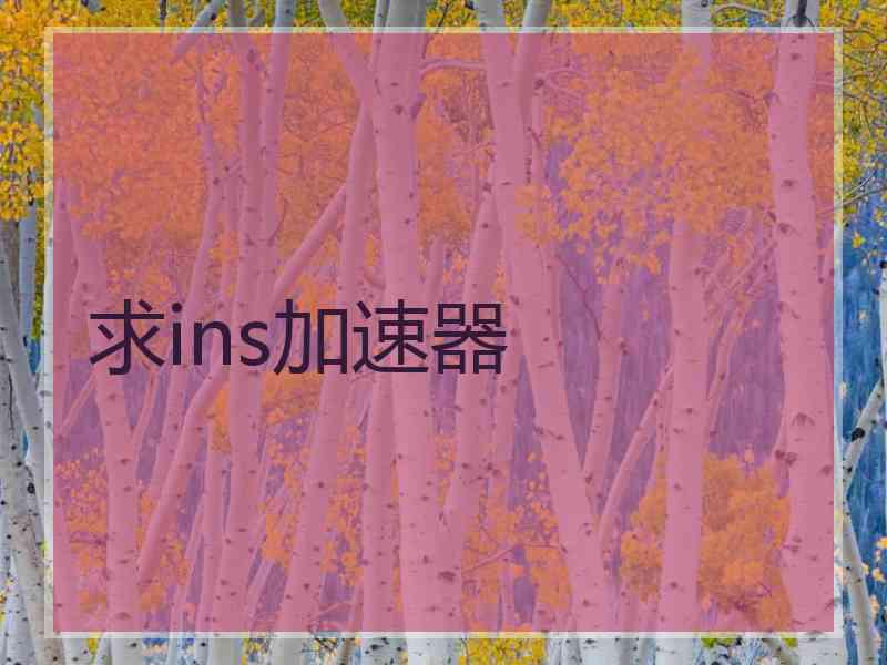 求ins加速器