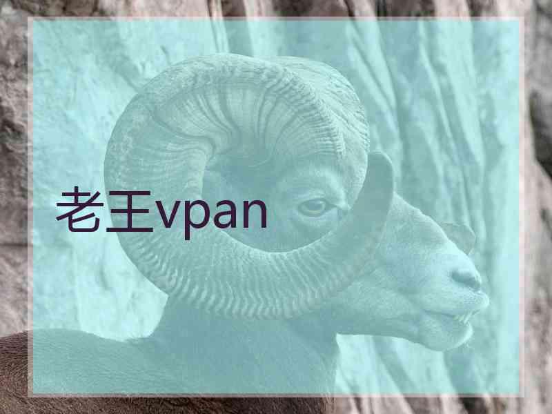 老王vpan