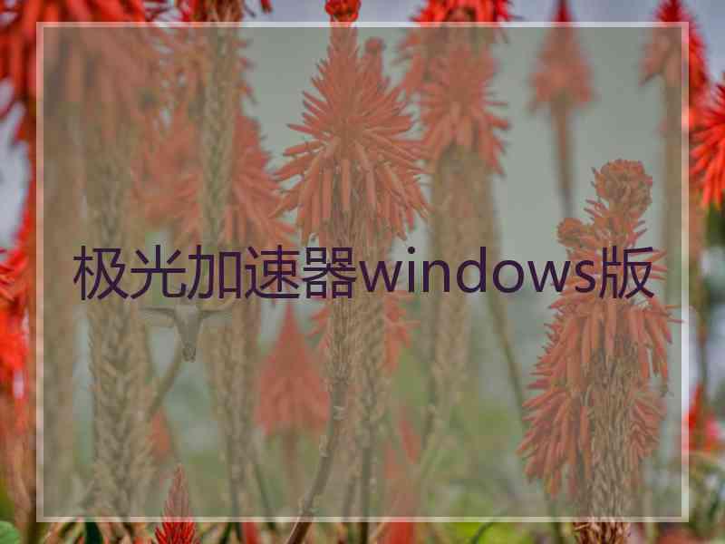极光加速器windows版