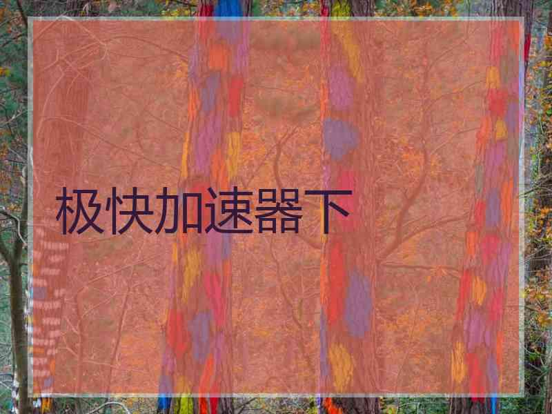 极快加速器下