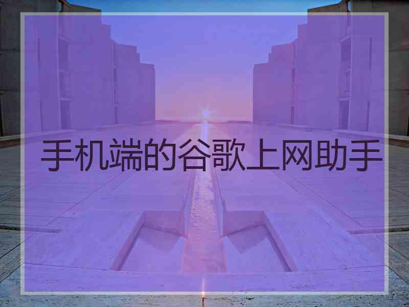 手机端的谷歌上网助手