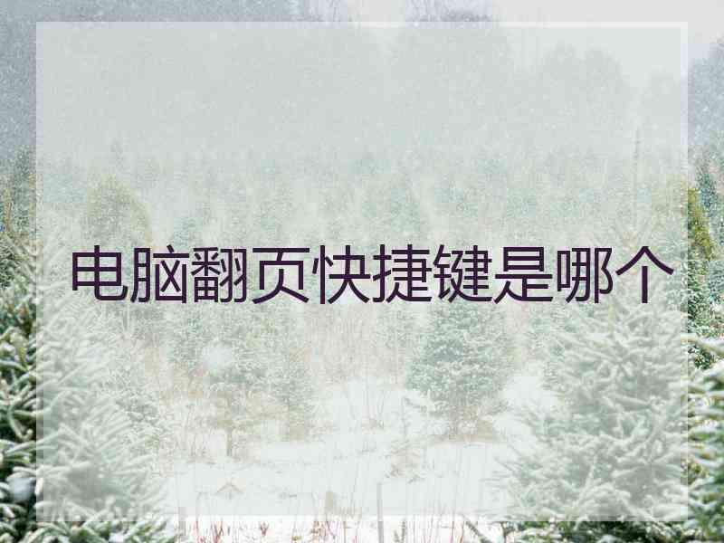 电脑翻页快捷键是哪个
