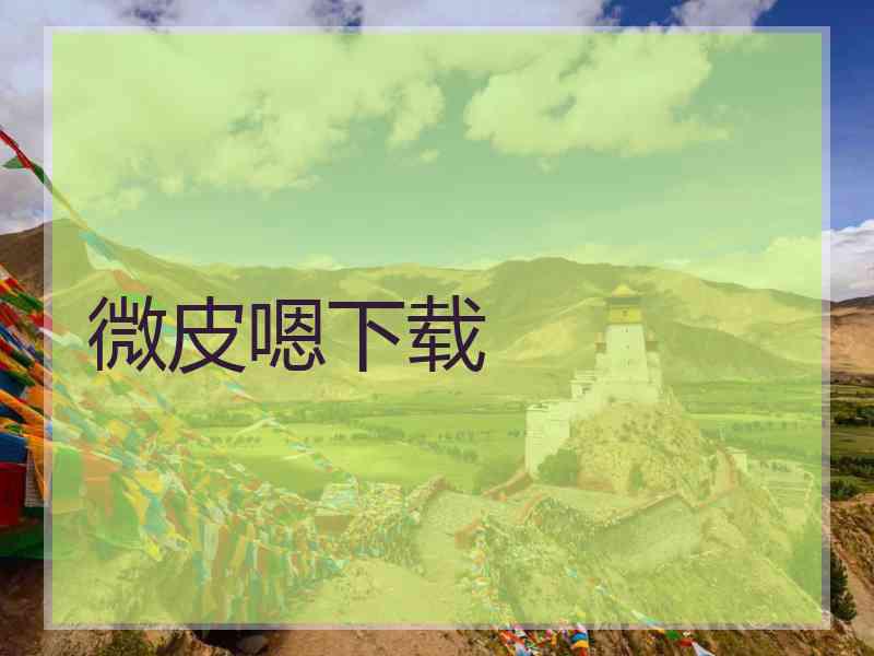 微皮嗯下载