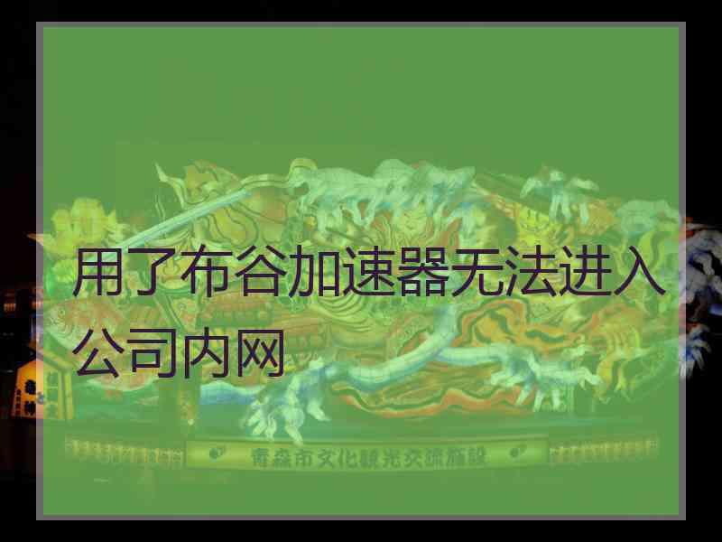 用了布谷加速器无法进入公司内网