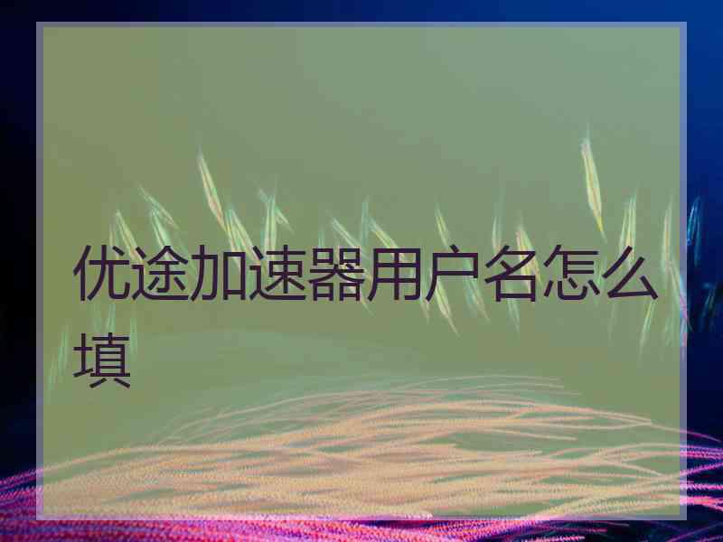 优途加速器用户名怎么填