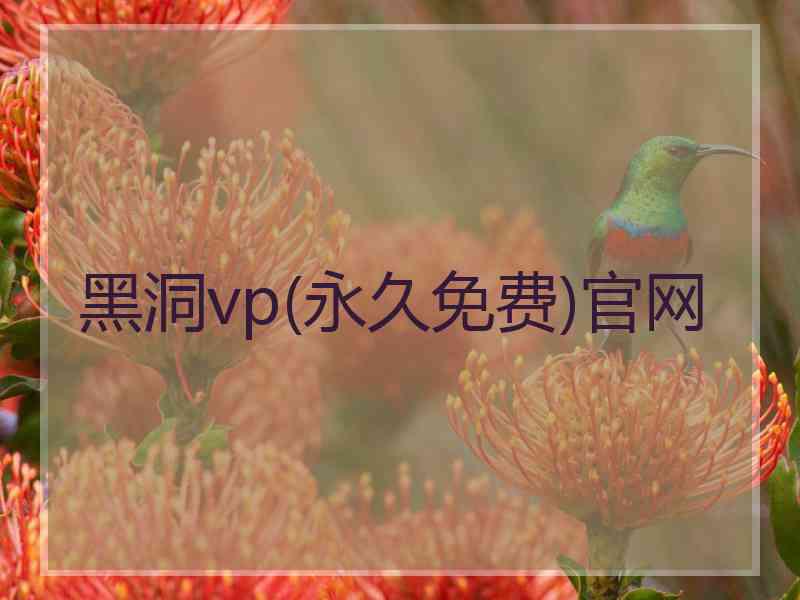黑洞vp(永久免费)官网