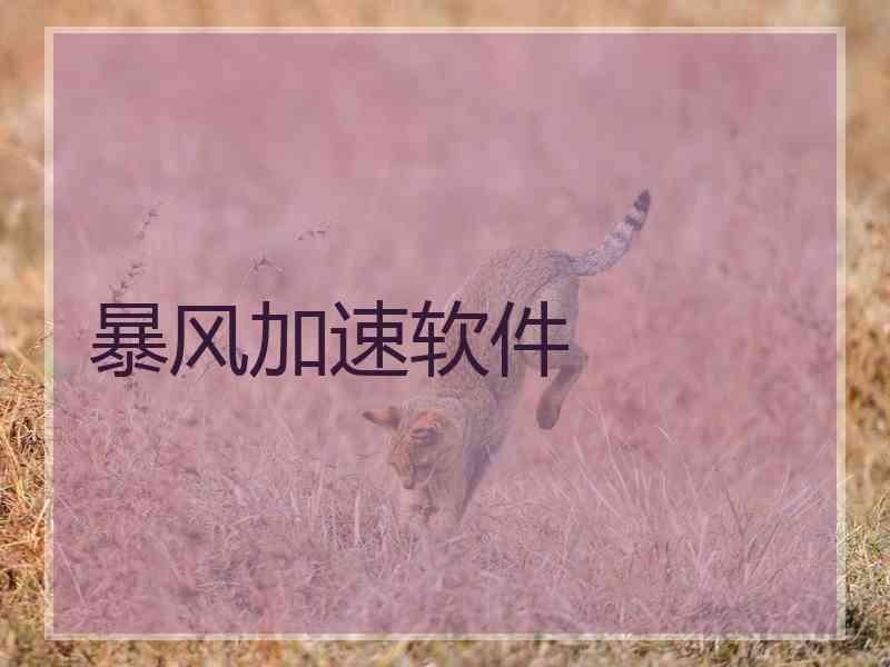 暴风加速软件