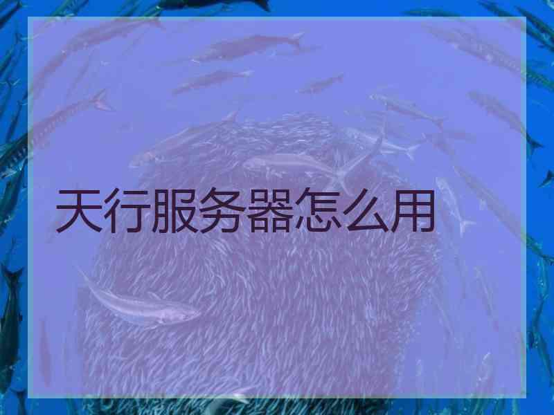天行服务器怎么用