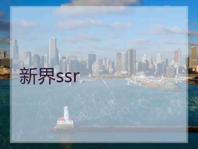 新界ssr