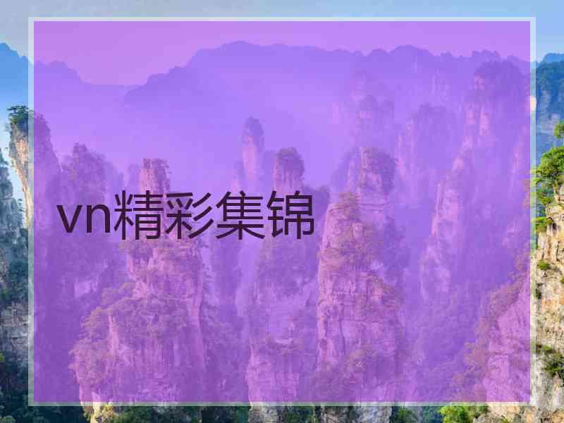 vn精彩集锦