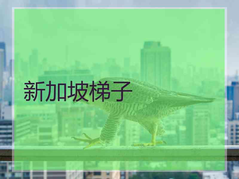 新加坡梯子