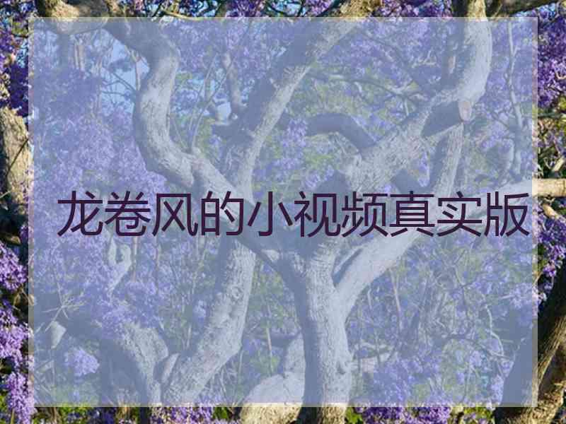 龙卷风的小视频真实版