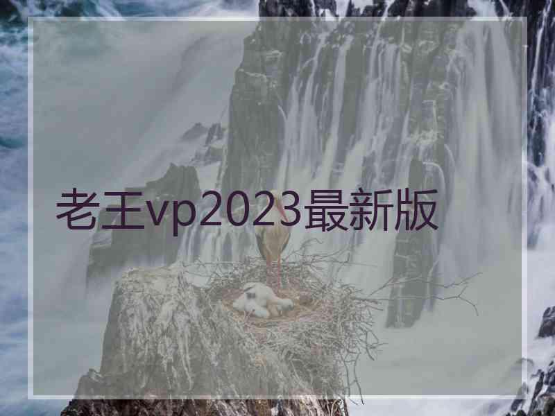 老王vp2023最新版