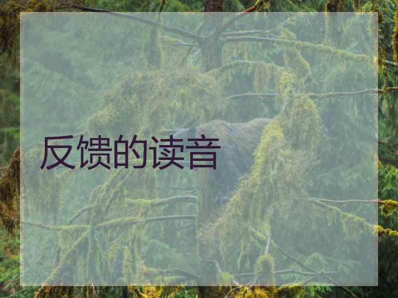 反馈的读音