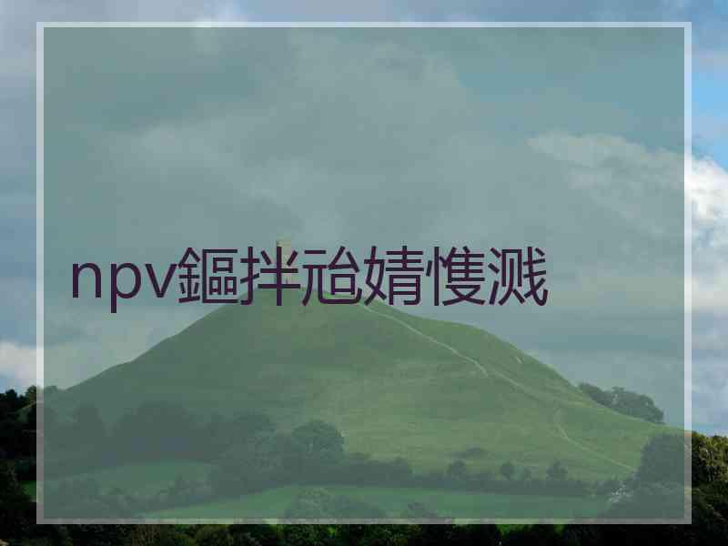 npv鏂拌兘婧愯溅