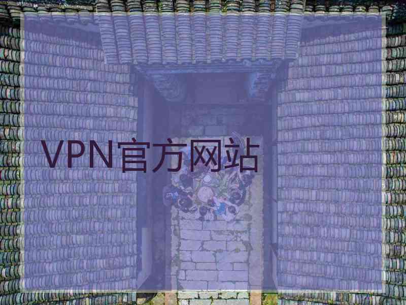 VPN官方网站