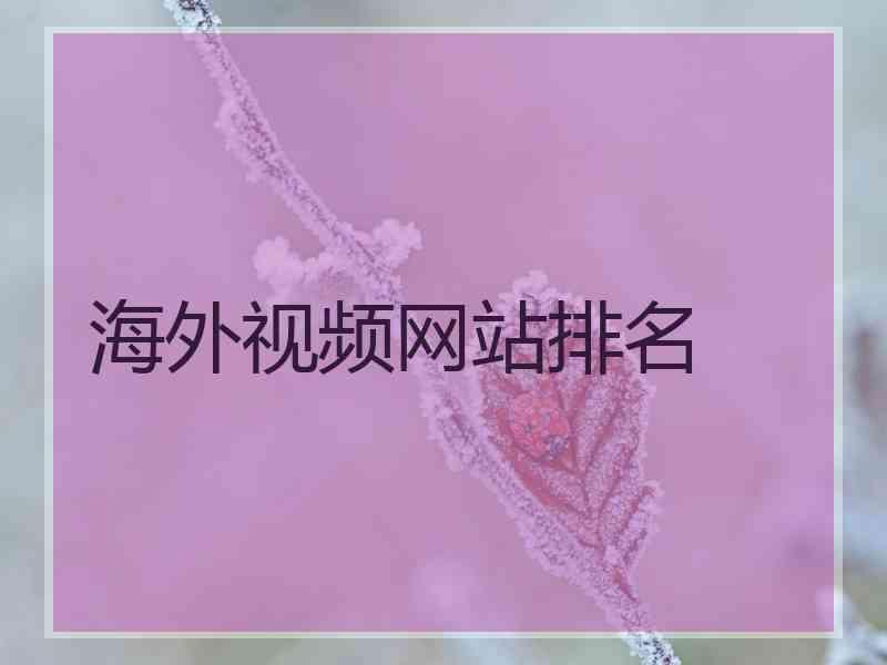 海外视频网站排名