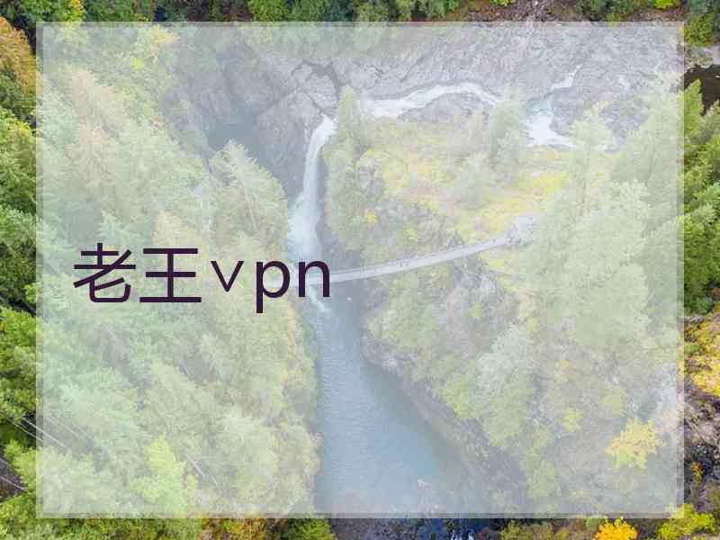 老王∨pn