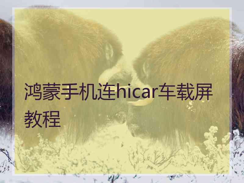 鸿蒙手机连hicar车载屏教程