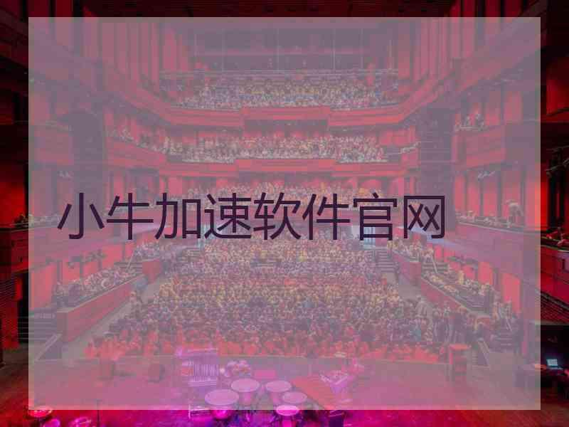 小牛加速软件官网
