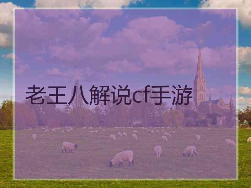 老王八解说cf手游