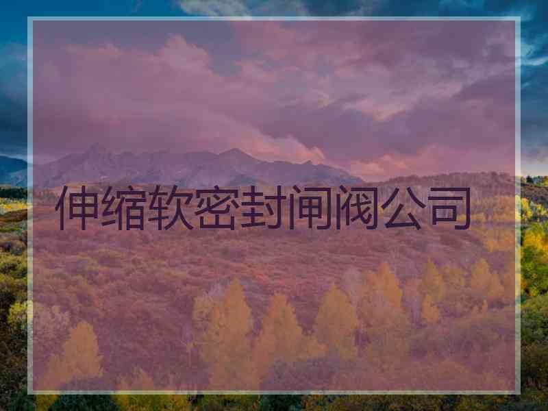 伸缩软密封闸阀公司