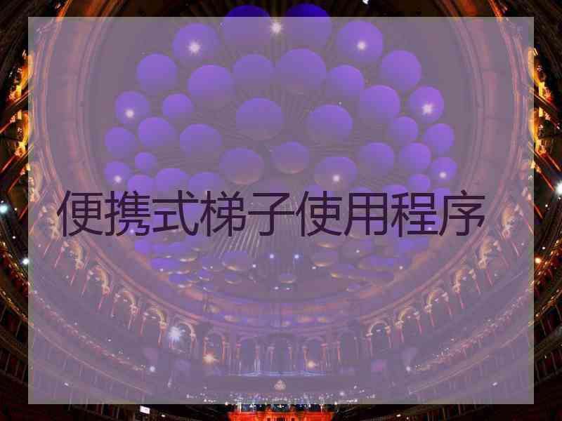 便携式梯子使用程序