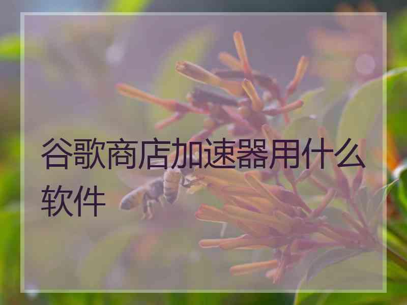 谷歌商店加速器用什么软件