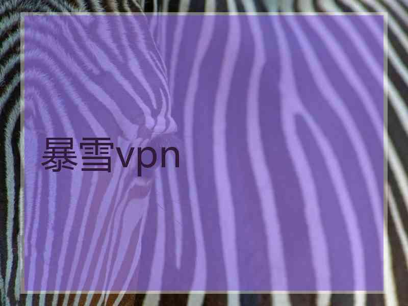 暴雪vpn