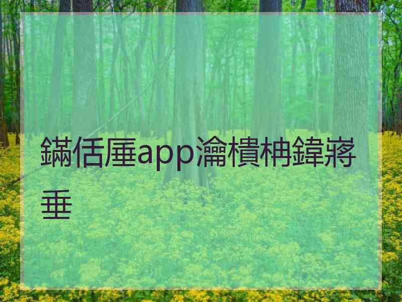 鏋佸厜app瀹樻柟鍏嶈垂