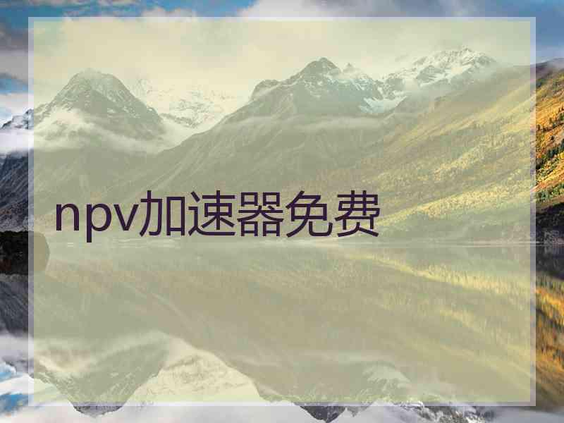 npv加速器免费