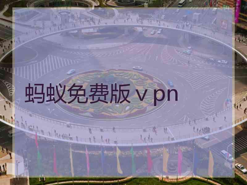 蚂蚁免费版ⅴpn