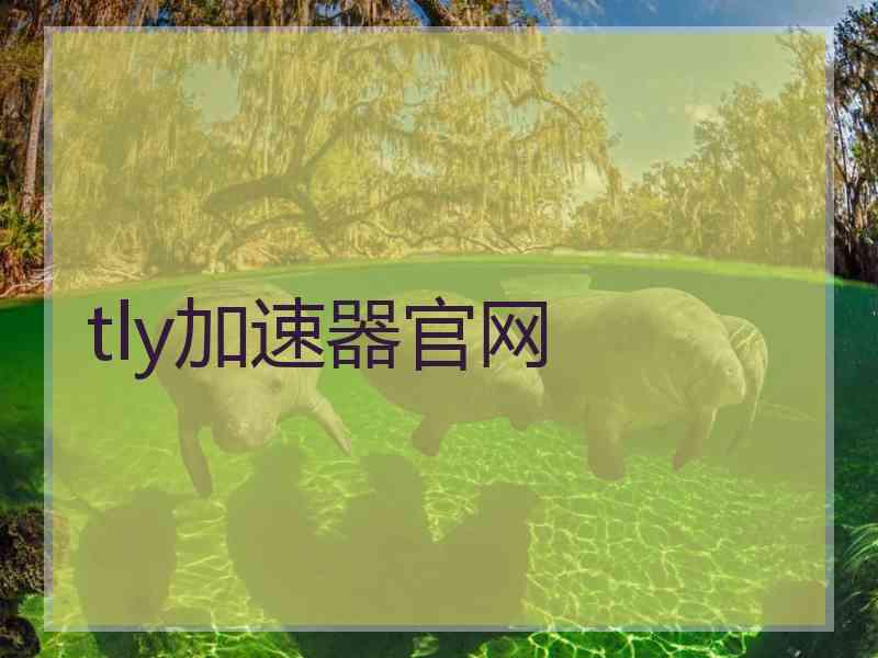 tly加速器官网