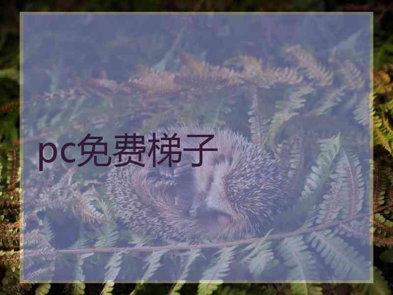 pc免费梯子