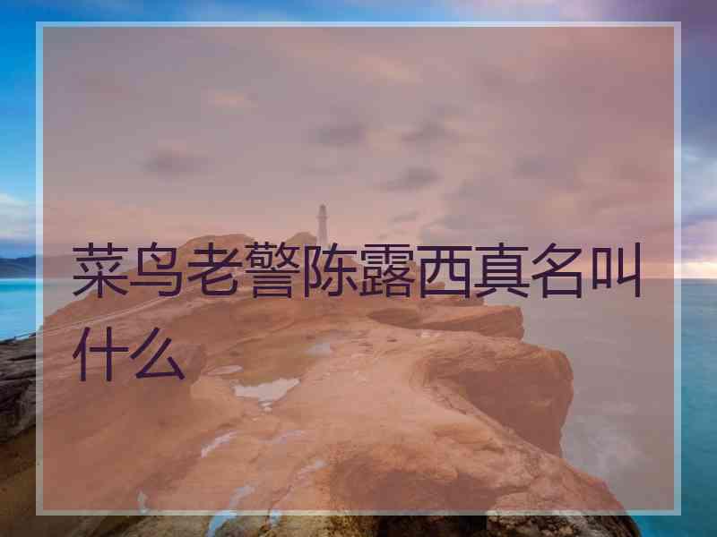 菜鸟老警陈露西真名叫什么