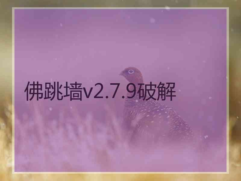 佛跳墙v2.7.9破解