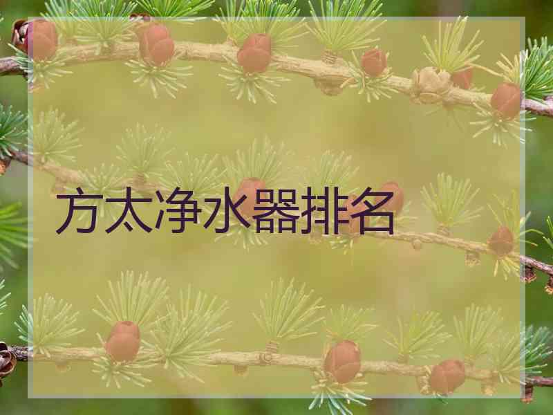 方太净水器排名