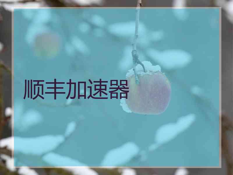 顺丰加速器