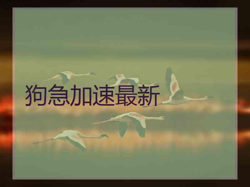 狗急加速最新