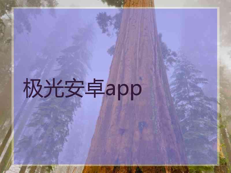 极光安卓app
