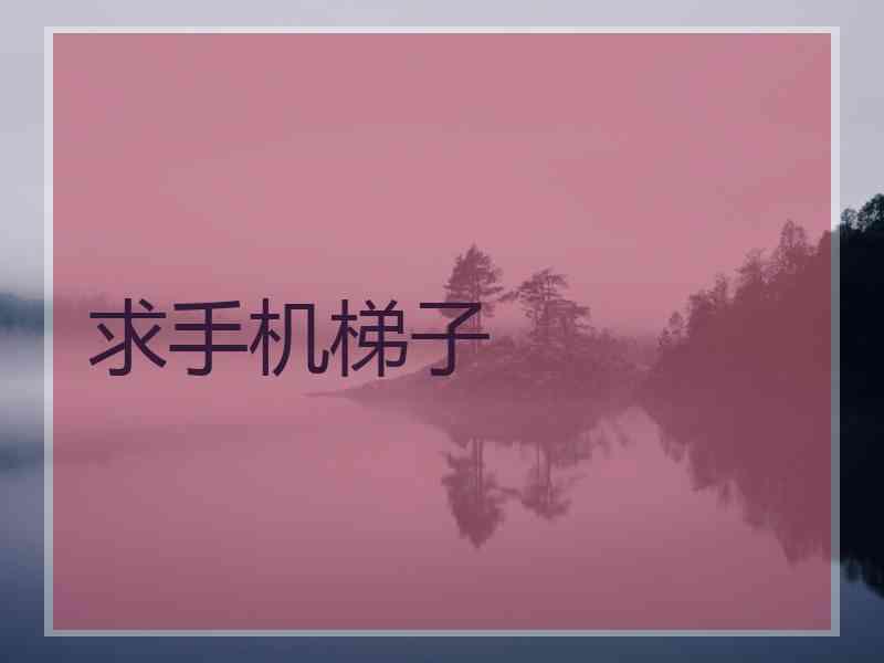 求手机梯子
