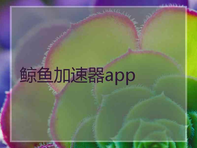 鲸鱼加速器app