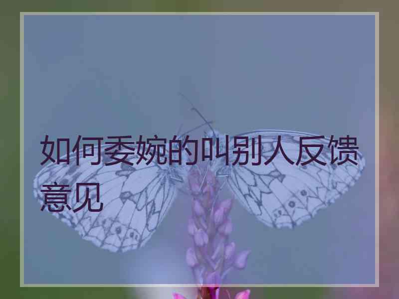 如何委婉的叫别人反馈意见